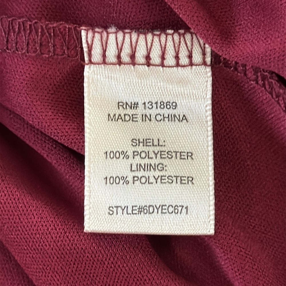Thirty/Thirty Burgundy Butterfly Appliqué Mini Dress - Picture 6 of 10